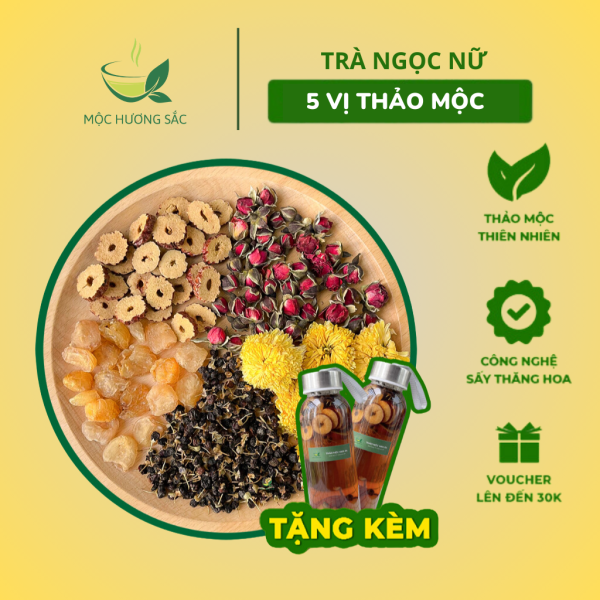 trà ngọc nữ 5 vị thảo mộc